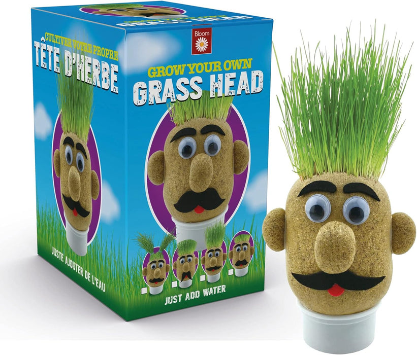 Funtime Gifts Grasshead Novelty Grow Your Own Grass Head, Green D